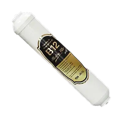 B12 Filter